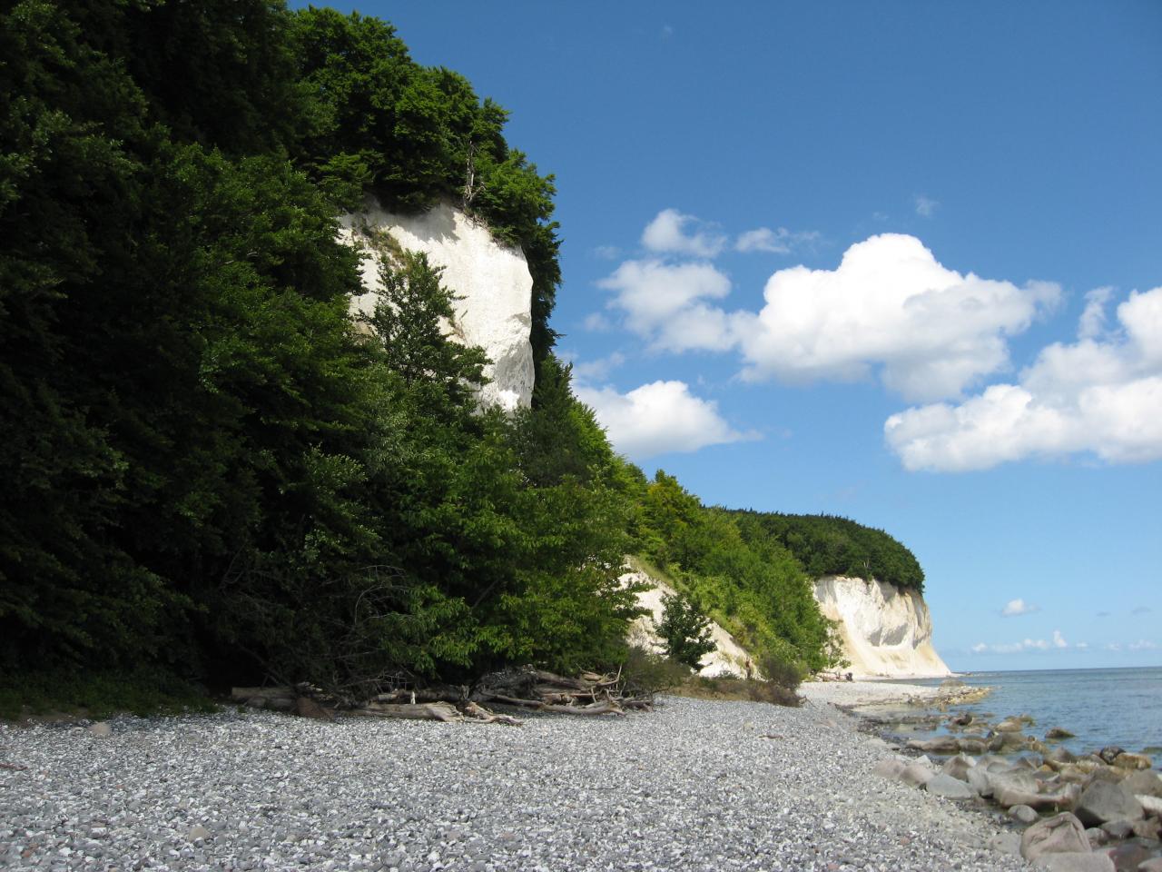 Kreidefelsen auf Rügen